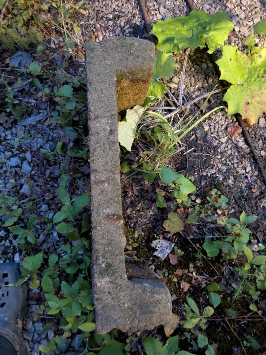 Ihåligt murblock med isolerande sågspån, liggandes på mark täckt av växter och grus.