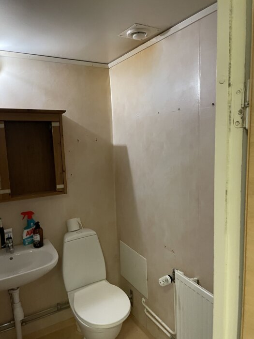 En nyrenoverad badrum hörna med toalett, handfat, hylla, en radiator, och målade rör i mattsvart.