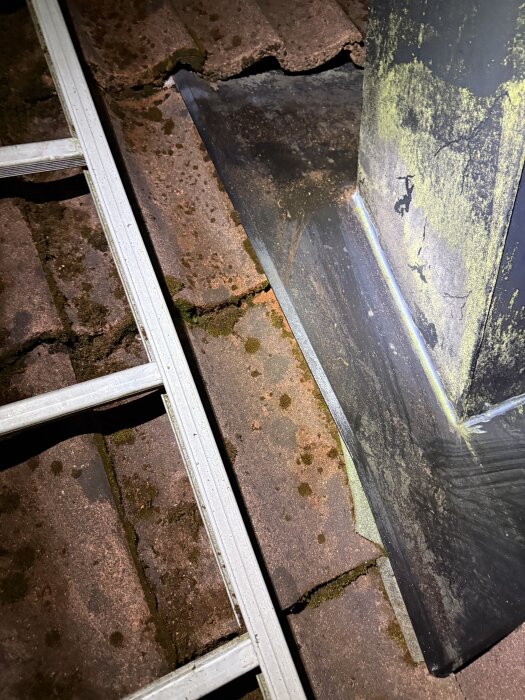 Närbild på ett tak med mossbeläggning och möjliga fuktfläckar nära en skorsten, bredvid en säkerhetsstege.