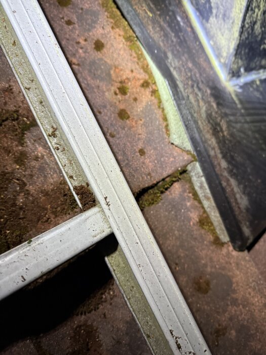 Rostig takplåt med synlig rengöring, grön beläggning vid ett hörn, nära en svart kantlist, och en stege delvis synlig.