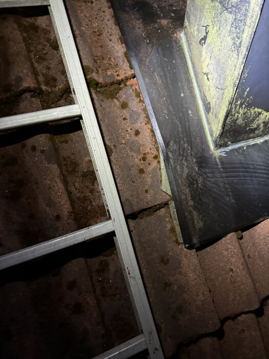 Fuktfläckar och mossa på takpannor vid en skorstensbas, med stege bredvid.