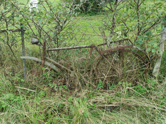 Rostig cykel inbäddad i buskar och gräs, används som en del av ett stängsel på en grön äng.