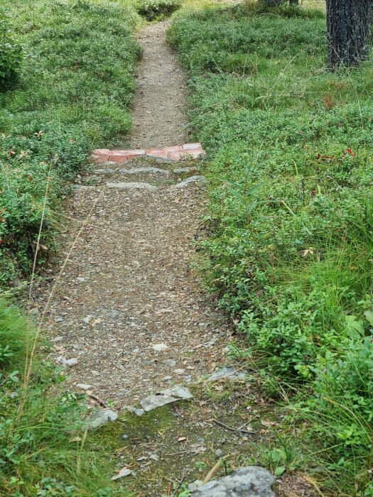 Stig i skogen med grönt gräs och buskar längs kanterna, små stenar på marken och röd tegelsten vid en tröskel mitt på stigen.