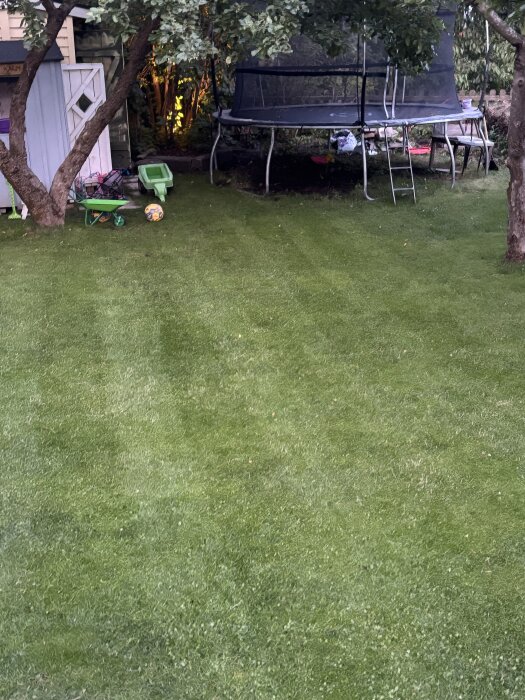 En välskött gräsmatta med en studsmatta och leksaker i bakgrunden, omgiven av träd och en trädgårdsbod.