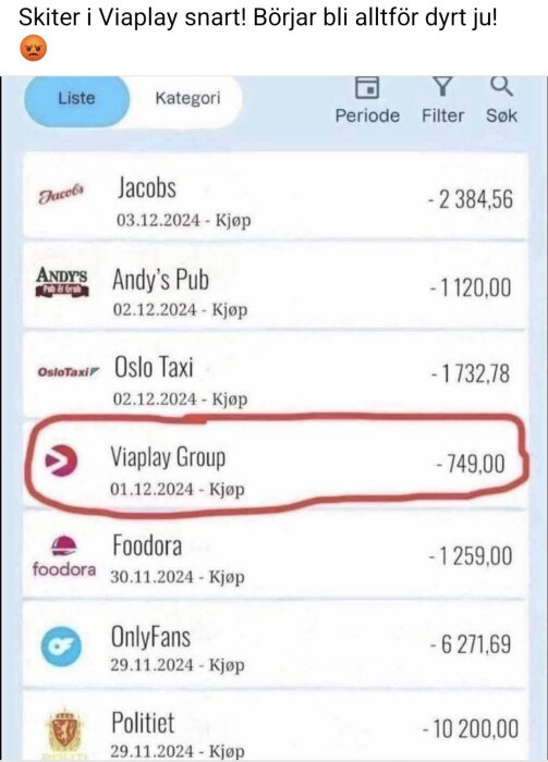 Transaktionslista med utgifter, inklusive Viaplay Group markerad i rött, och summan -749,00.
