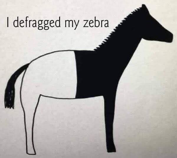 En tecknad zebra med en rak övergång från svart till vit färg vid mitten. Text över: "I defragged my zebra.