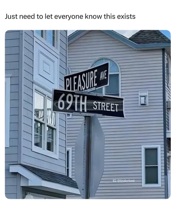Gatuskyltar i en korsning visar "Pleasure Ave" och "69th Street" framför ett hus med stora fönster.