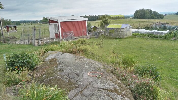 Rött hönshus och grönt växthus i en lantlig trädgård med stenar, frodig gräsmatta och blommande växter.