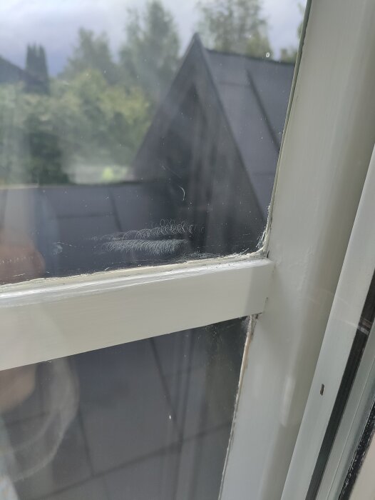 Ett vittmålat fönster med tydliga slipmärken på glaset och omgivande bebyggelse i bakgrunden.