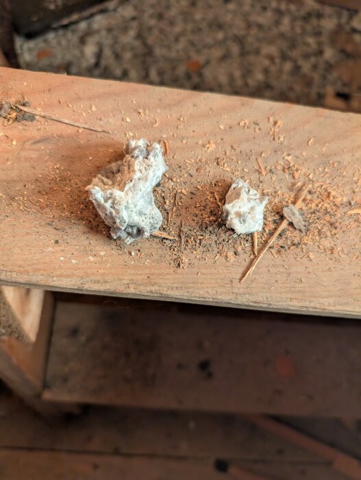 Två bitar av vit och spröd massa ligger på en träplanka, omgivna av sågspån. En bit innehåller inslag av grönt material.