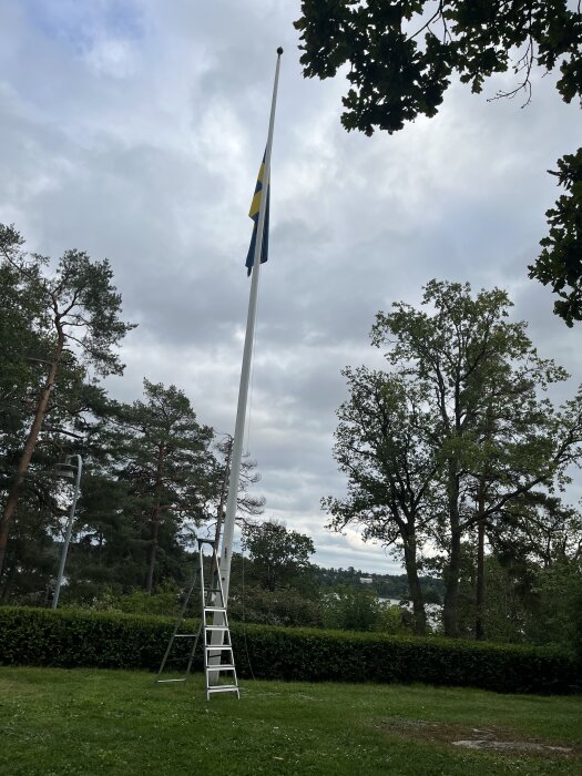 Flaggstång med hissad svensk flagga fastnat halvvägs, med stege lutad mot stången i grönskande trädgård.