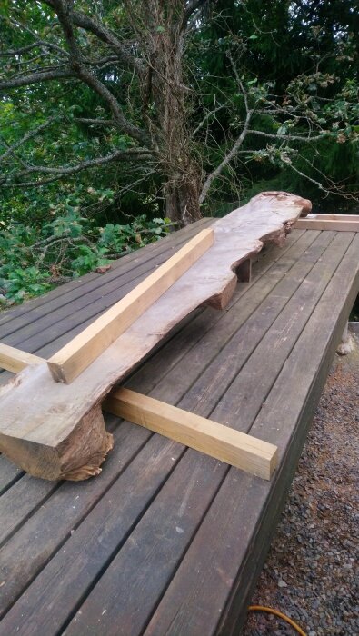 En grov ekplanka ligger på ett träbord, omgiven av natur, med två träreglar placerade ovanpå plankan.