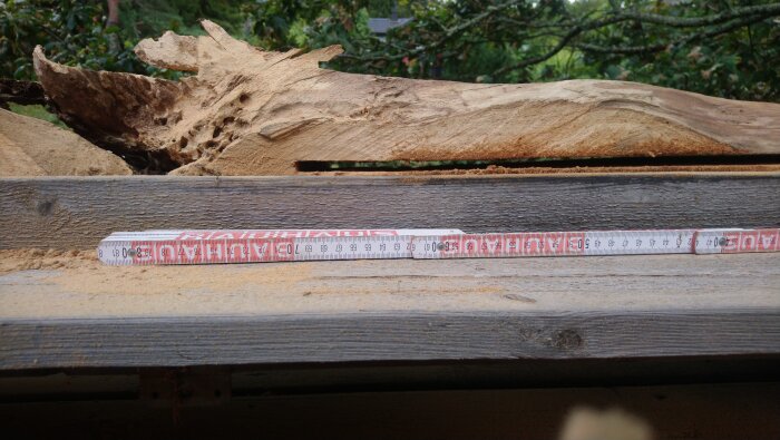 Bräda med spår och träflisor, tumstock i förgrunden.