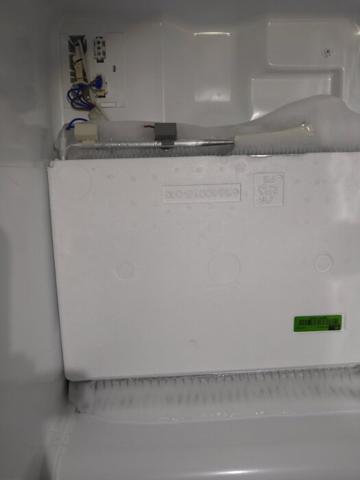 Isblock kvar inuti en frys efter att plastpanelerna har tagits bort.