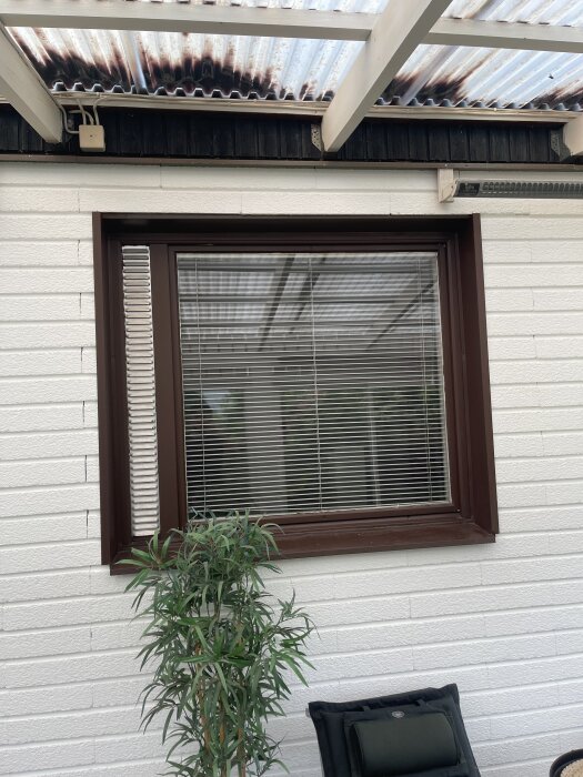 Fönster med persienner i brun träram, vitmålad tegelvägg och växter framför. Tak med plåt och plastpanel.