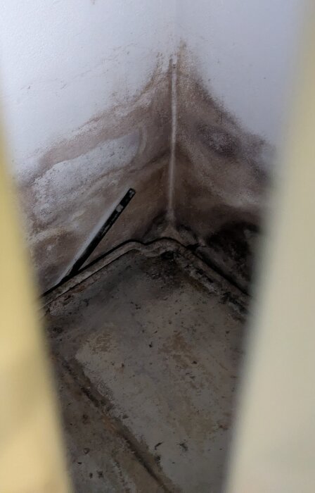 Fuktfläckar och eventuell saltutfällning på en hörnvägg av betongplatta, synliga tecken på fuktproblem i ett äldre hus.