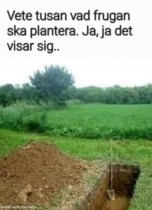 En grönskande äng med ett stort uppgrävt hål och en spade, text ovan säger "Vete tusan vad frugan ska plantera. Ja, ja det visar sig.