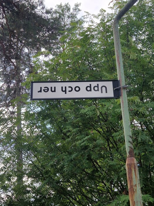 Vägskylt upp och ner med texten "Upp och ner" framför träd och klar himmel.