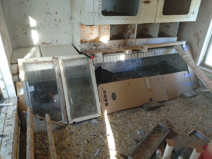 Ett improviserat hönshus med kartong och fönster i en ladugård, omgiven av halm och träplankor.