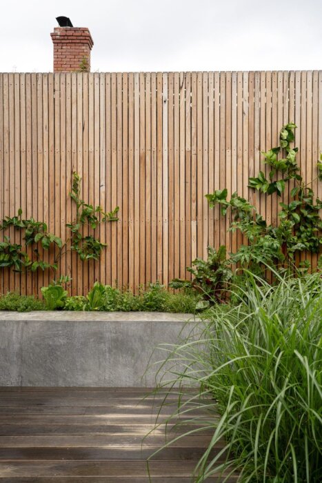 Vertikalt ribbad träplank med gröna växter i förgrunden och en mur med frodig växtlighet undertill.