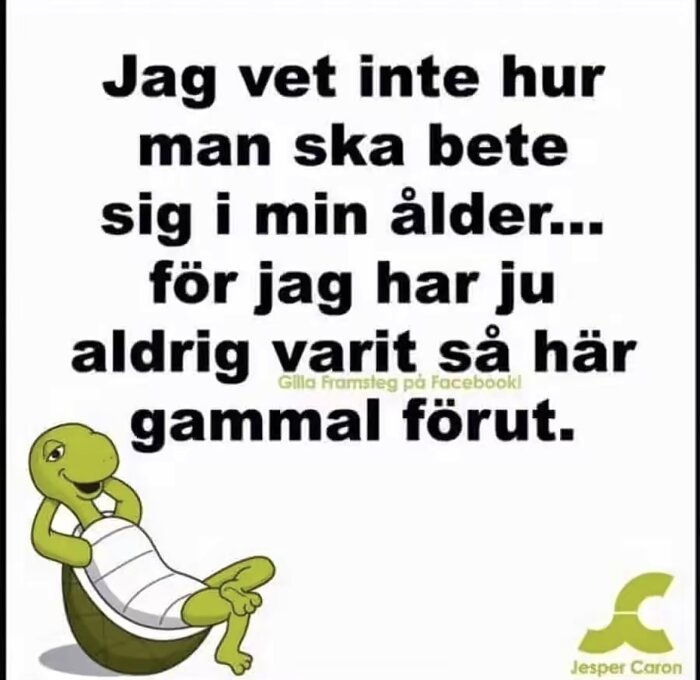 En tecknad sköldpadda ligger avslappnad och ler. Text på bilden lyder: "Jag vet inte hur man ska bete sig i min ålder... för jag har ju aldrig varit så här gammal förut.