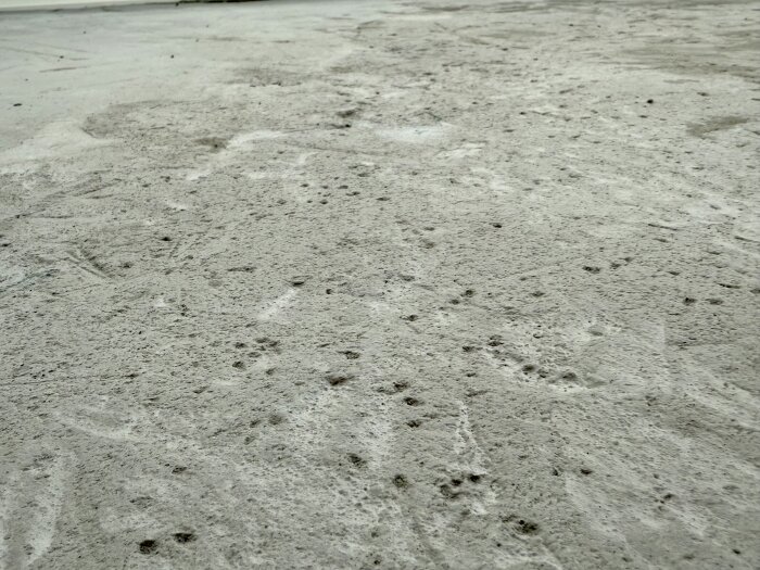 Närbild av ojämn och porös betongyta med små håligheter efter flytspackling i uterum, redo för reparation och slipning innan målning.