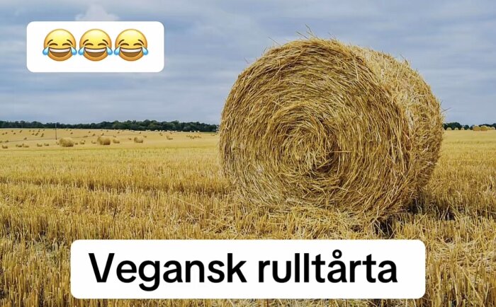 En stor halmbal på ett fält, med texten "Vegansk rulltårta" och tre skrattande emoji ovanför.