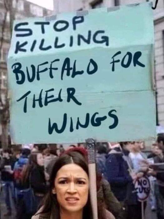 Protestskylt med texten "Stop killing buffalo for their wings" och en kvinna som ser förvirrad ut, med andra protesterande i bakgrunden.