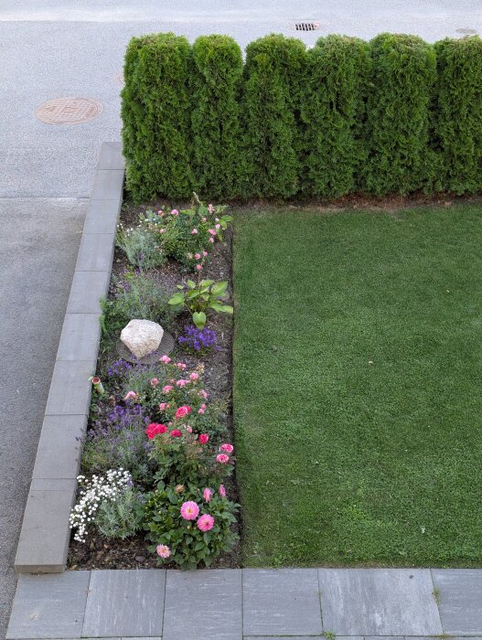 Trädgårdsrabatt med blommor i olika färger bredvid välskött gräsmatta och häck, belägen längs en trottoar.