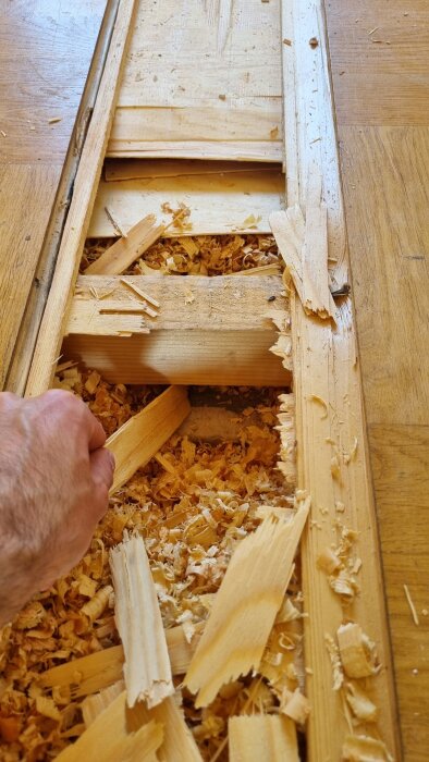 Handen river upp golv och avslöjar kutterspån under, en del av renovering. Träflis och öppet utrymme mellan reglar och betong syns.