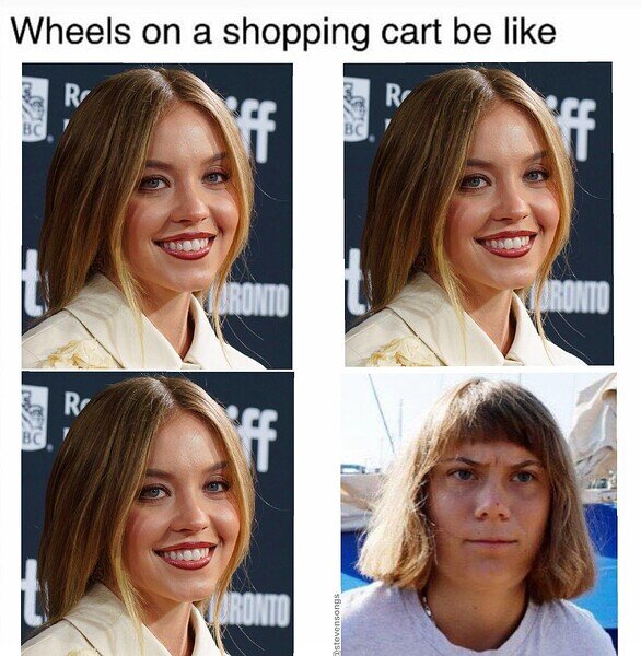 Fyra porträttbilder, tre liknande och ett som avviker, med texten "Wheels on a shopping cart be like" ovanför.