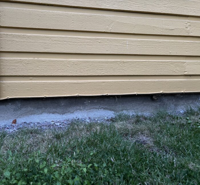 Betongplatta vid gul husvägg nära gräs, möjligt tecken på vattenskada.