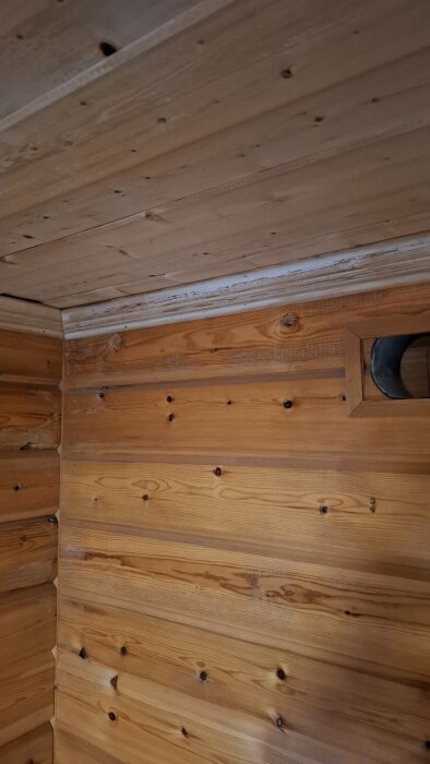 Bastu med träpaneler visar vitaktig missfärgning på väggar och tak.