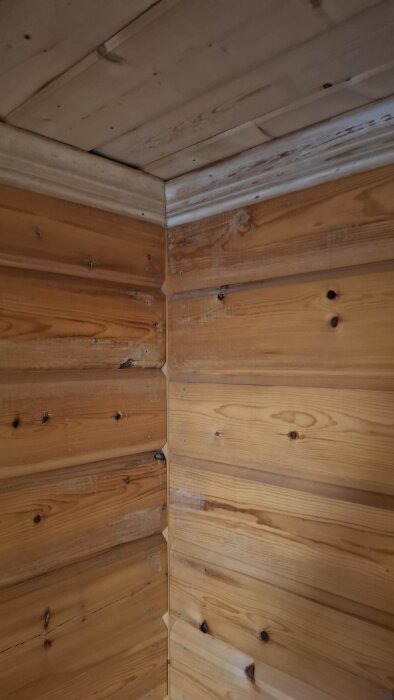 Hörn av bastu med träpaneler och vitaktig missfärgning på taket och väggen.