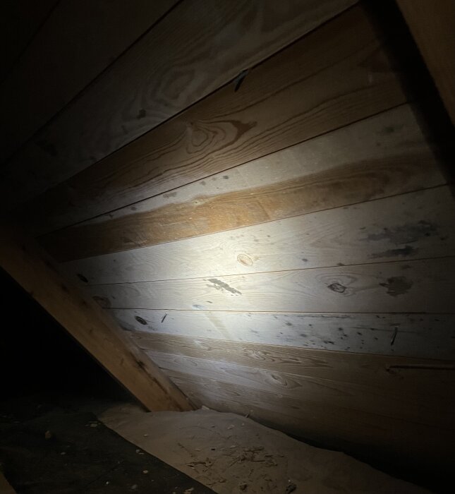 Trägolv i vind med mögelfläckar belysta av ficklampa, tecken på potentiell fuktskada.