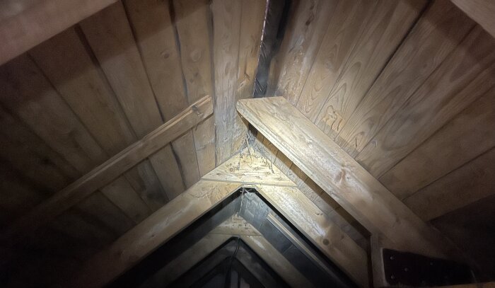 Vind med träbjälkar och paneler synliga, fotograferad underifrån med fokus på takkonstruktionen.
