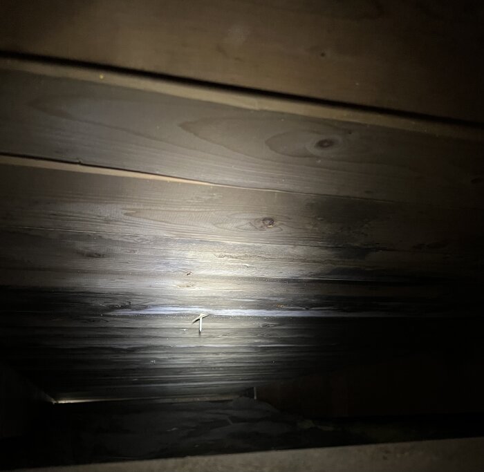Bild på en träyta i ett mörkt utrymme, delvis belyst. Möjliga tecken på skador eller slitage syns.