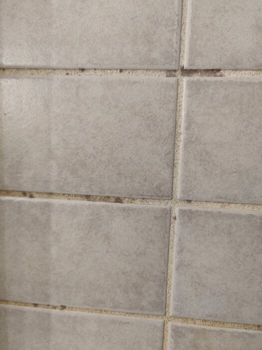 Mörka fläckar på kakel och fog i dusch, potentiellt mögel eller fuktskada.