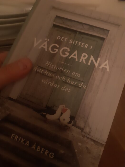 Bokomslag av "Det sitter i väggarna" av Erika Åberg, med motiv av en gammal dörr och två ankor.
