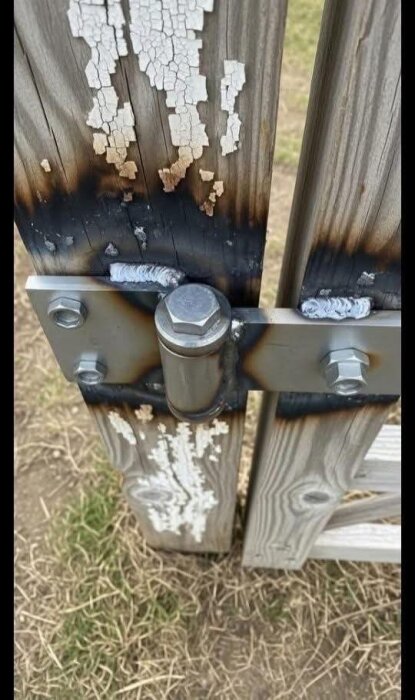 Närbild på skadat trästaket med avskavd färg och metallgångjärn fäst med bultar, över gräsunderlag.