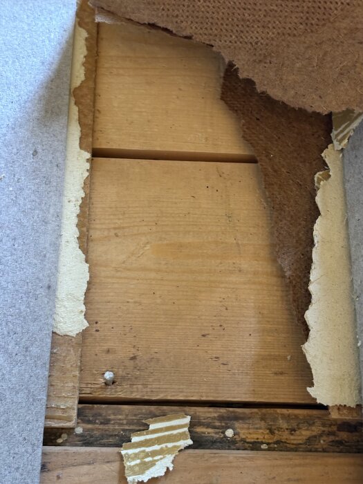 Rivet masonitskiva ovanpå ett träplankgolv med spikhål synliga.