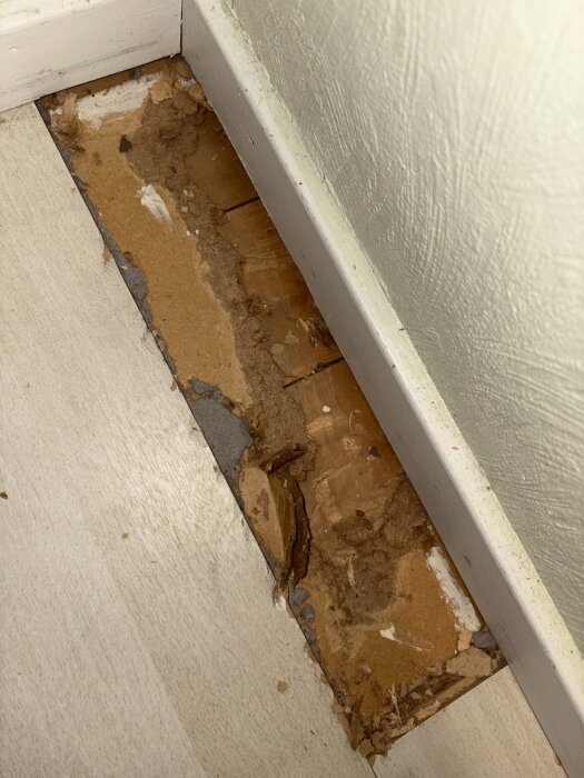 Masonitskiva med spikhål på plankgolv, delvis borttagen vid väggen. Fråga om möjligheten att slipa och vitlasera trots hålen.