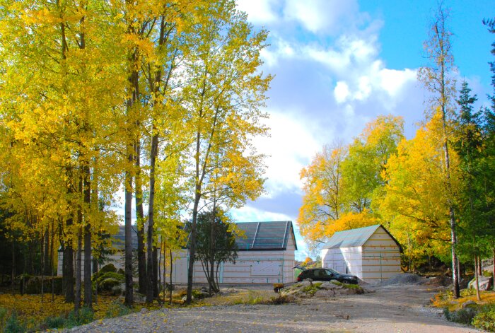 Husbygge vid skogskant med träd i höstfärger, två hus under konstruktion synliga bland gula lövträd, bilen parkerad på grusvägen.