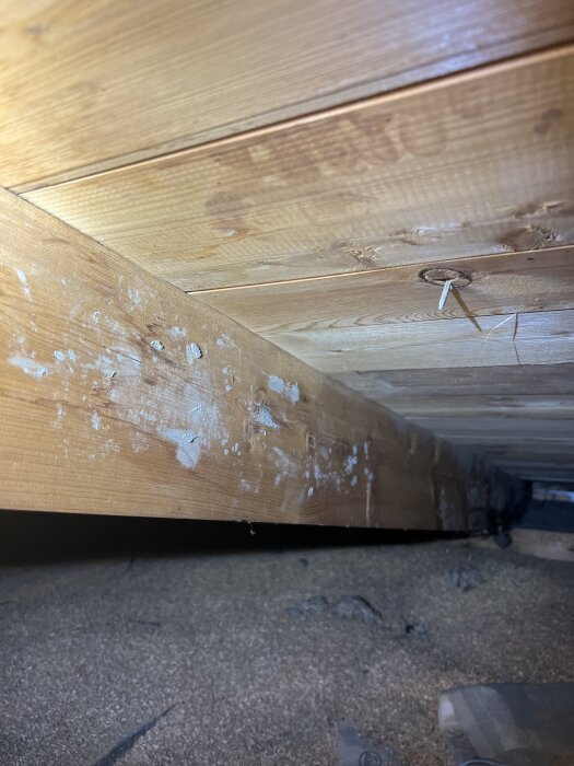 Närbild av ett träbjälklag på en vind med synliga märken och fläckar, omgiven av spån på golvet.