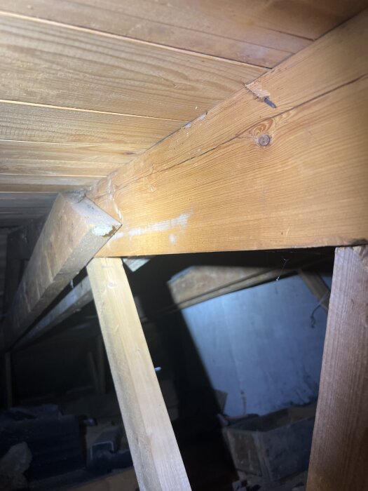 Bild på en vind med träreglar och plywood, belyst av en ficklampa. Ingen synlig fukt eller mögel uppskottbart vid första anblick.