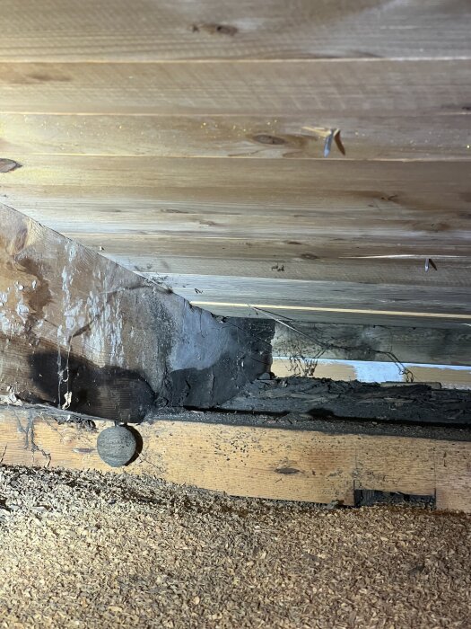 Träbjälklag med synligt svartmögel och spånisolering, visar på dålig ventilation och fuktproblem.