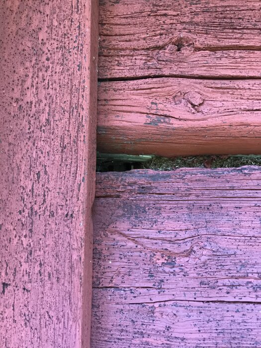 Kraftigt sliten och sprucken timmerstock i röd stuga med tecken på trämjöl och mögel.