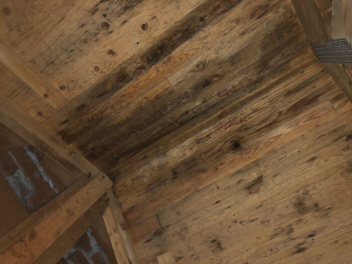 Mögelangripet trä på vinden med tydliga mörka fläckar och påväxt, även synliga träknutar och en del av tegelvägg.