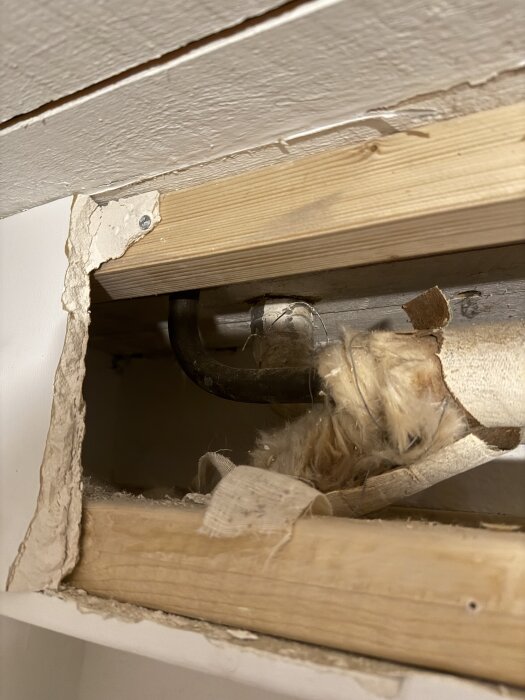 Öppning i trävägg med exponerad radiatorslinga och isolering synlig, använd för inspektion av möjliga kopplingspunkter för rörsystem.