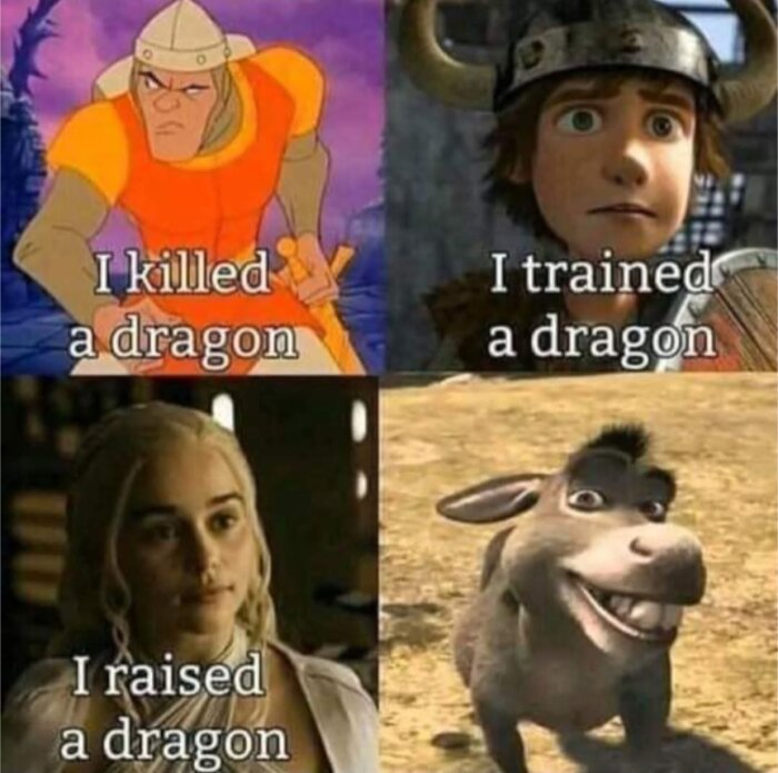 Fyra bilder av olika karaktärer med bildtext: "I killed a dragon," "I trained a dragon," "I raised a dragon," och en åsna med ingen text.